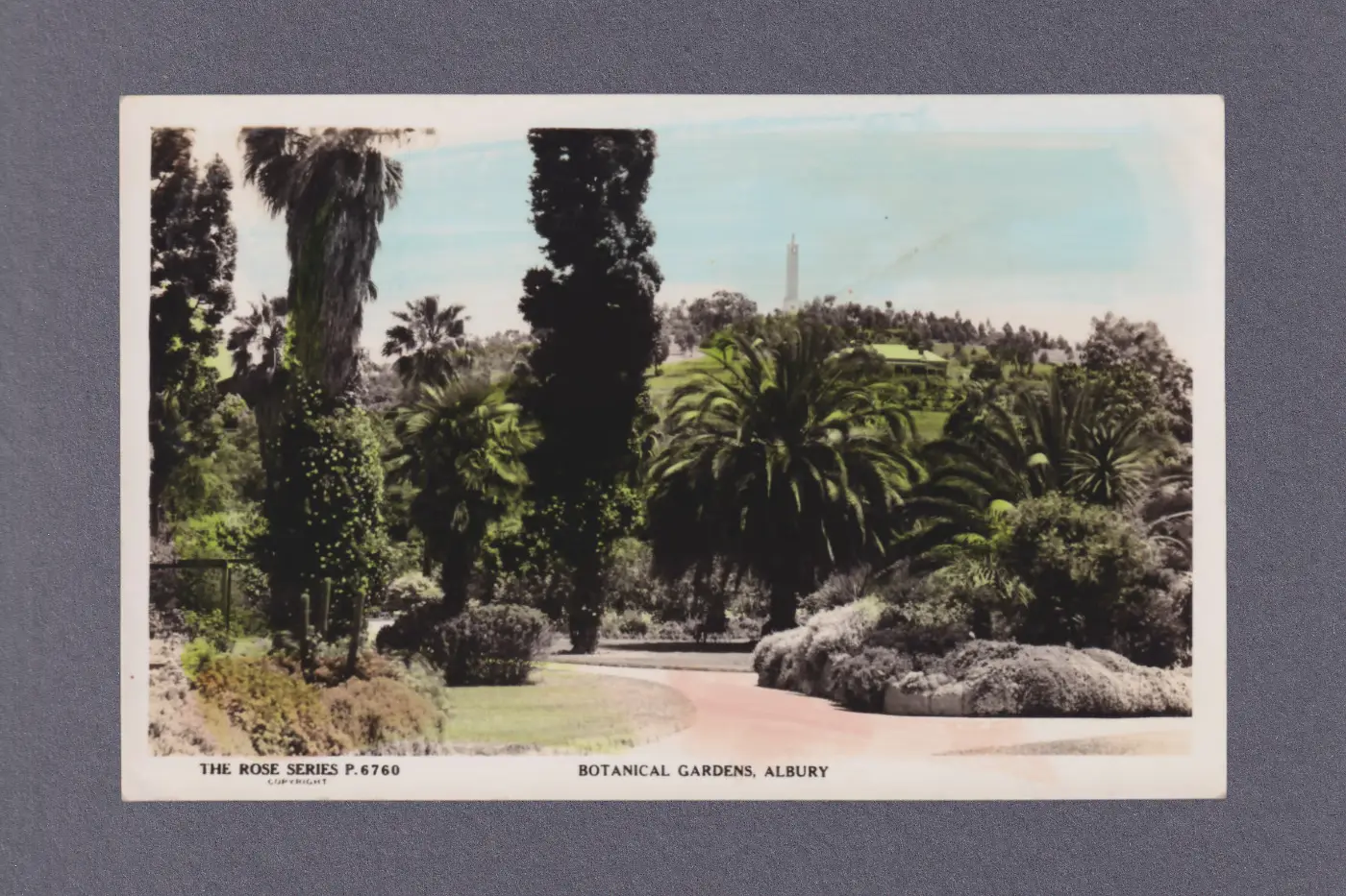A colour-tinted postcard showing exotic palm trees and cacti in a landscaped garden.