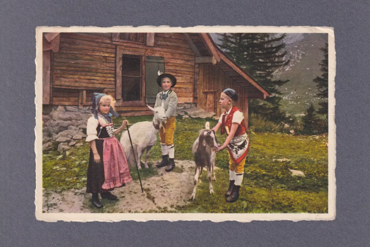A colour postcard showing three small children in traditional Swiss costume with two goats, standing outside a chalet.