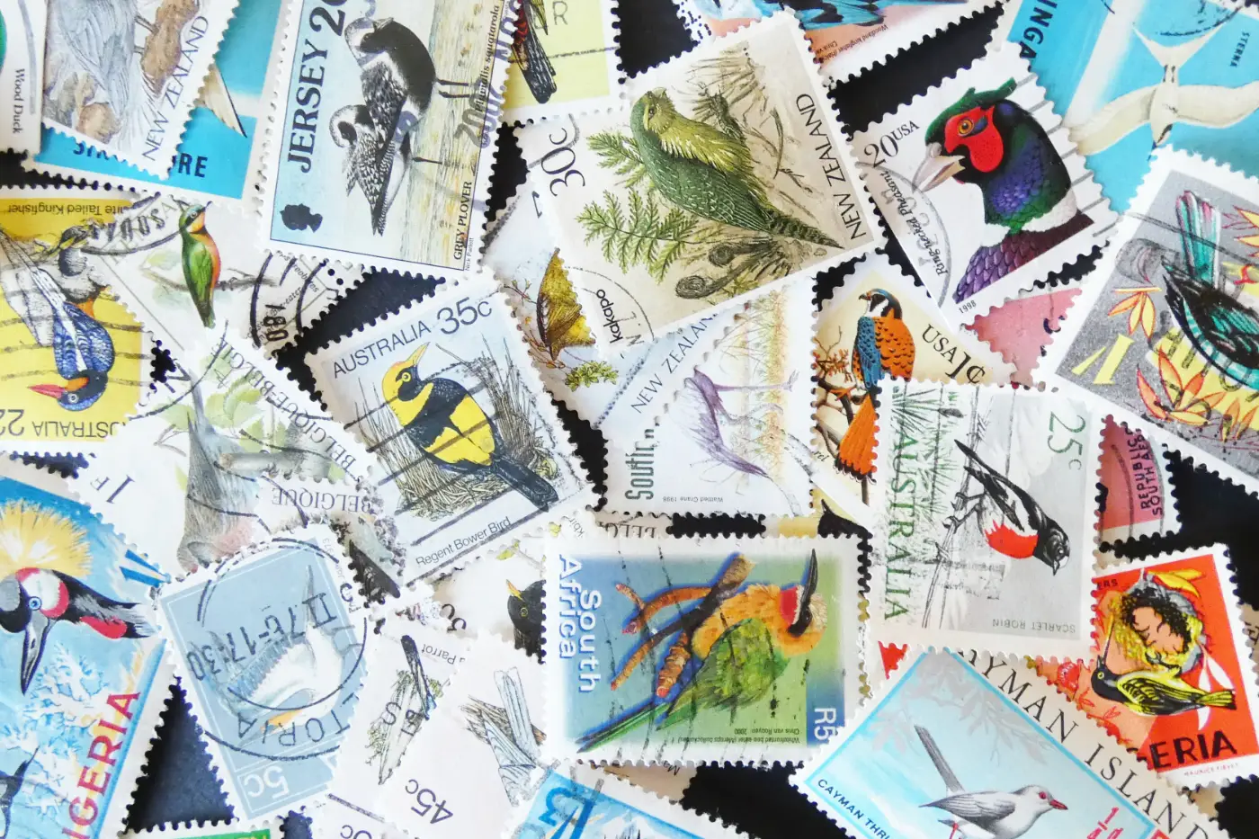 A collection of different postage stamps all showing birds.