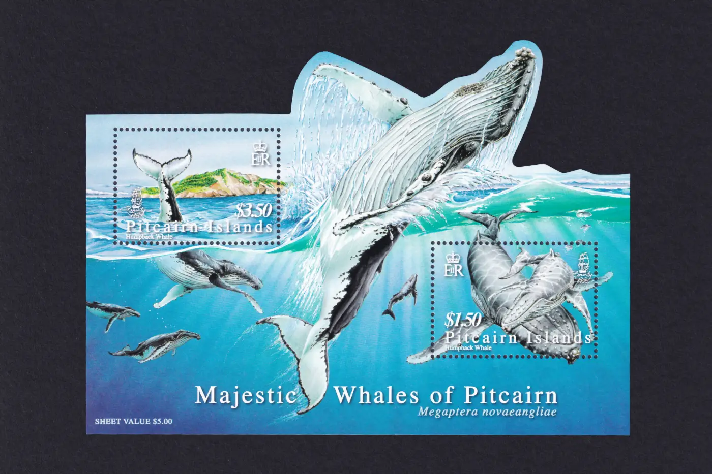 A block of two postage stamps from the Pitcairn Islands illustrated with humpback whales swimming in the sea.